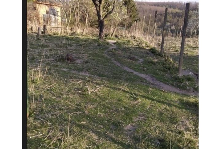 Stavebný pozemok s nádherným výhľadom v Stupave